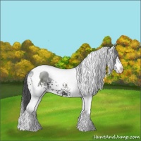 Horse Color:White Spotted Black Tobiano 