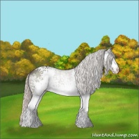 Horse Color:White Spotted Silver Black 
