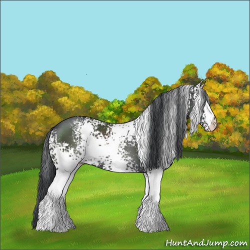 Horse Color:White Spotted Black