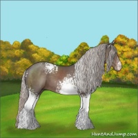 Horse Color:White Spotted Silver Black 