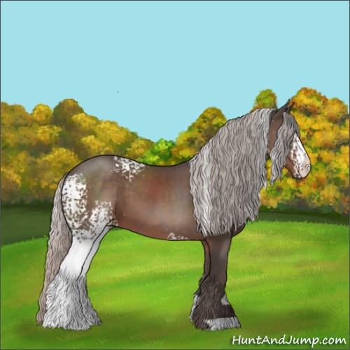 Horse Color:White Spotted Silver Black
