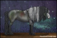 Horse Color:White Spotted Black