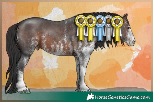 Horse Color:White Spotted Brown 