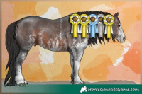 Horse Color:White Spotted Brown