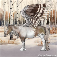 Horse Color:White Spotted Silver Black Sabino 