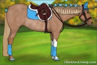 Horse Color:Chestnut Rabicano 