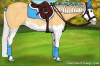 Horse Color:Palomino Splash Rabicano 