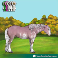 Horse Color:White Spotted Silver Bay Dun