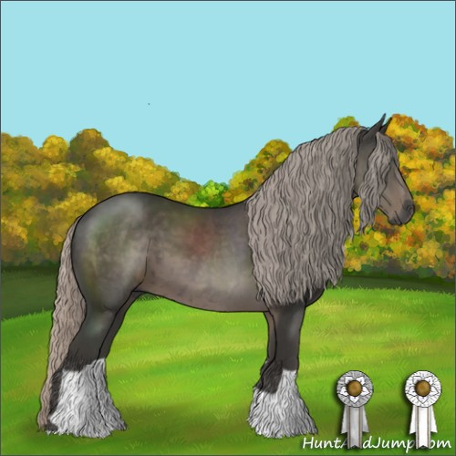 Horse Color:Gray Silver Black 