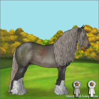 Horse Color:Gray Silver Black 