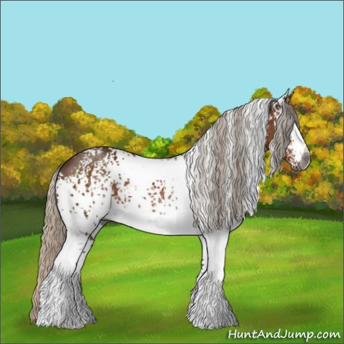 Horse Color:Gray White Spotted Silver Bay 