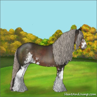 Horse Color:Gray Silver Black Sabino 