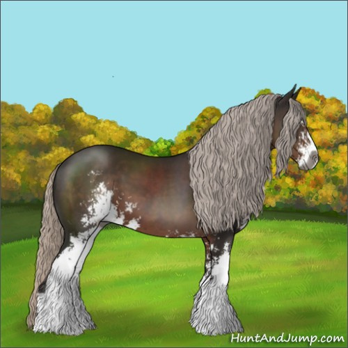 Horse Color:Gray Silver Black Sabino
