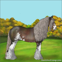 Horse Color:Gray Silver Black Sabino 