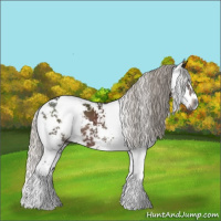 Horse Color:Gray Silver Black Sabino 