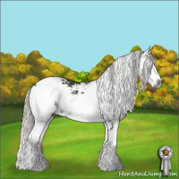 Horse Color:Gray Silver Black Sabino 