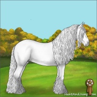 Horse Color:Gray Silver Black Sabino