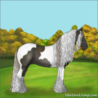 Horse Color:Gray Silver Black Tobiano 