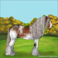 Horse Color:Gray White Spotted Silver Brown Sabino