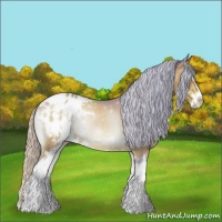 Horse Color:Watercolor Silver Brown Onyx Sabino Appaloosa 