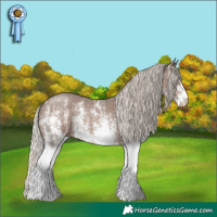 Horse Color:White Spotted Silver Black 