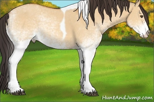 Horse Color:White Spotted Buckskin Dun Tobiano