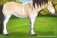 Horse Color:White Spotted Buckskin Dun Tobiano