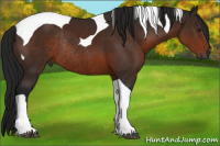 Horse Color:Gray Brown Tobiano Rabicano 