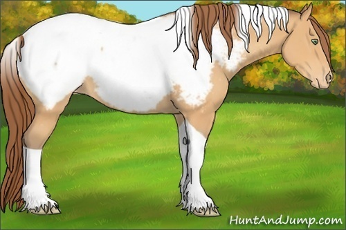 Horse Color:Amber Cream Champagne Tobiano Appaloosa
