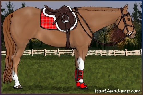 Horse Color:Chestnut Tobiano