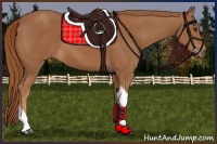 Horse Color:Chestnut Tobiano