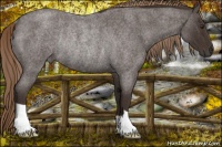 Horse Color:Liver Red Roan Rabicano 