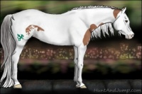 Horse Color:Bay Sabino Splash Tobiano 