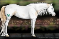 Horse Color:Buckskin Pearl Splash Tobiano 