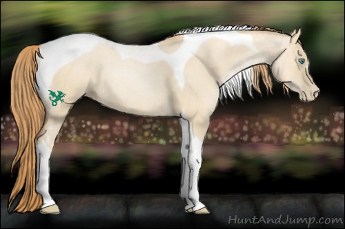 Horse Color:Smoky Grullo Pearl Tobiano Rabicano 