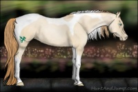 Horse Color:Smoky Grullo Pearl Tobiano Rabicano 