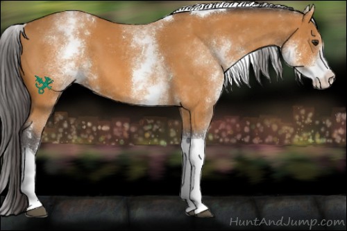 Horse Color:White Spotted Buckskin Tobiano 