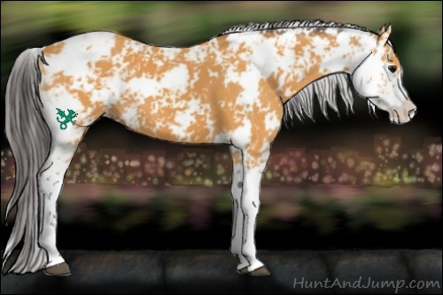 Horse Color:Buckskin Sabino 