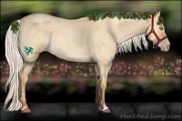Horse Color:Silver Amber Cream Champagne Roan Dun 