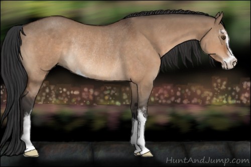 Horse Color:Brown Dun Sabino Rabicano