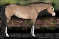 Horse Color:Brown Dun Sabino Rabicano 
