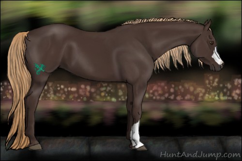 Horse Color:Liver Chestnut 