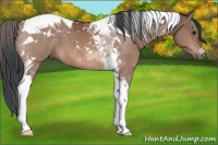 Horse Color:Brown Tobiano 