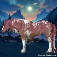 Horse Color:Palomino Tobiano  and Chestnut Tobiano 