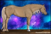 Horse Color:Palomino