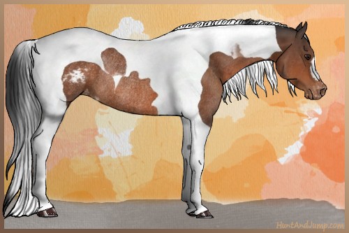 Horse Color:Brown Tobiano Varnish Rabicano 