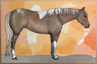 Horse Color:Silver Black Tobiano Rabicano 