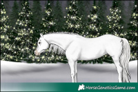 Horse Color:Silver Brown Varnish Rabicano 