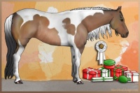 Horse Color:Brown Tobiano Rabicano 