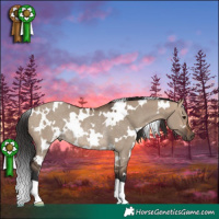 Horse Color:White Spotted Brown Dun Rabicano 